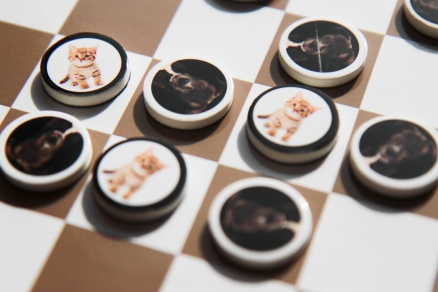 Magnetic game